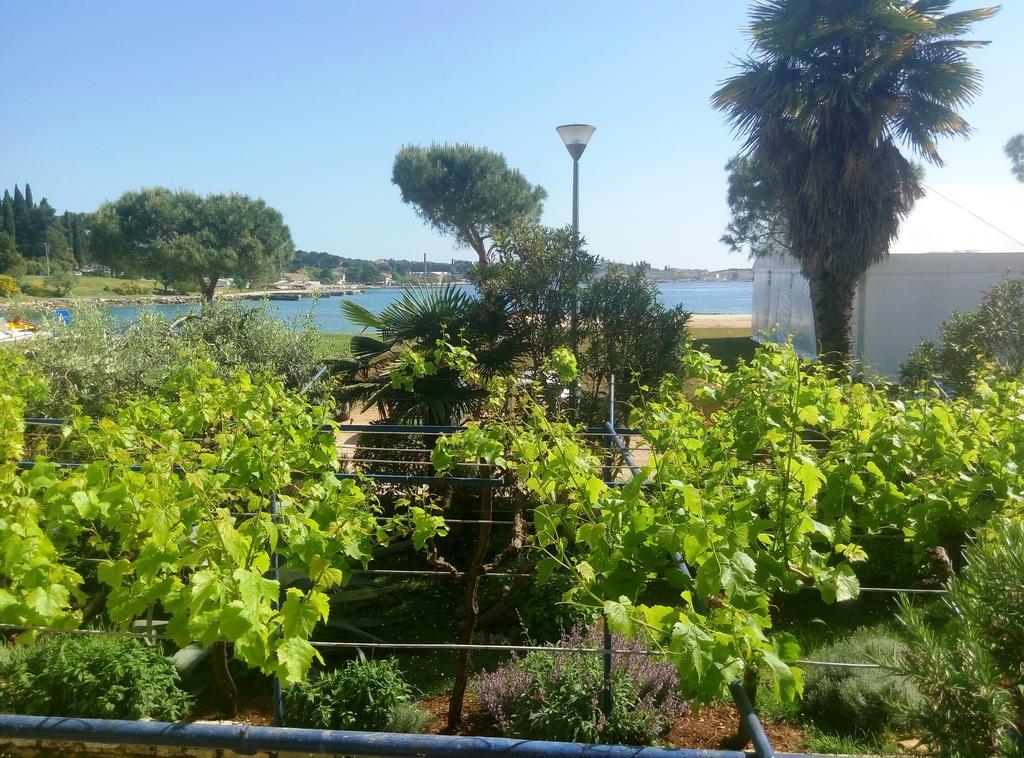 Linea Mare Apartment Rovinj Exterior foto
